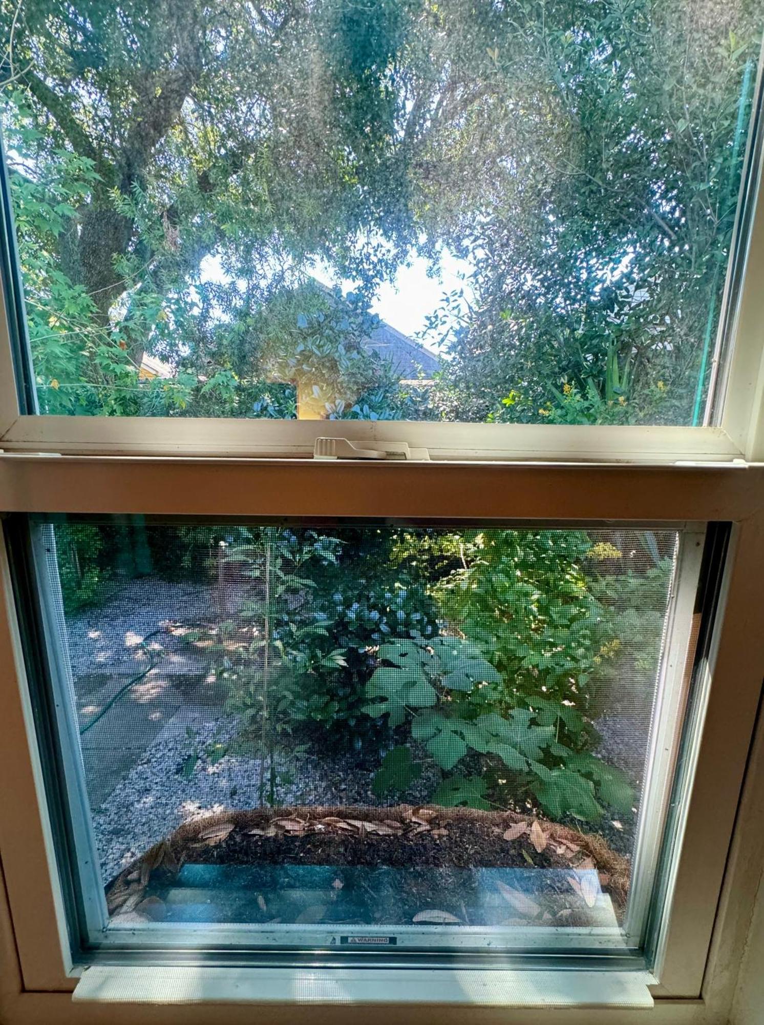 One Bedroom Apartment With Hot Tub 2 Blocks To Magazine Street New Orleans Buitenkant foto